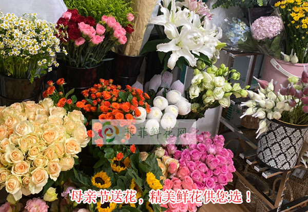 2024泰州靖江母亲节送花,泰州靖江精美鲜花供您选!